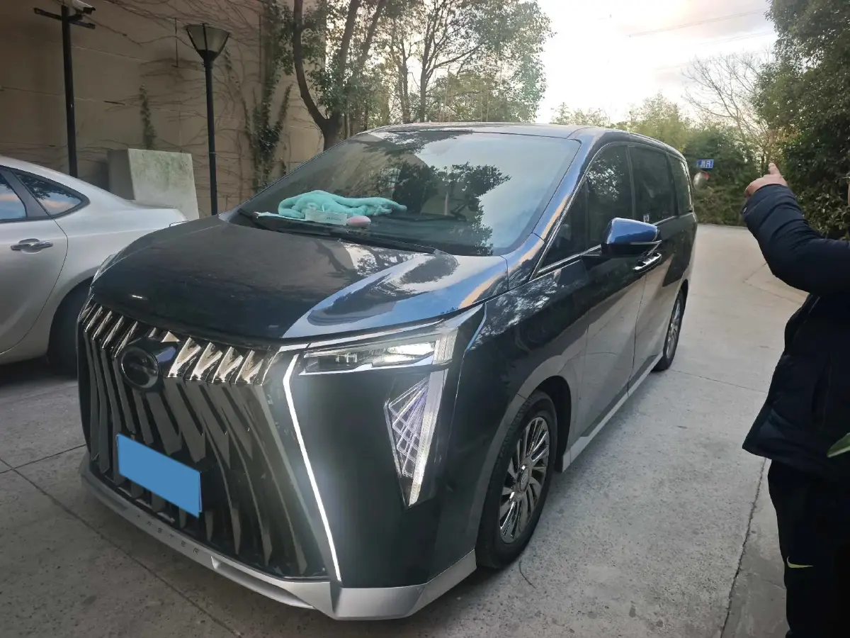 2023 GAC Trumpchi M8 2.0T 252HP L4 8AT