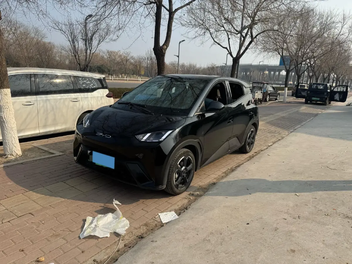 2023 BYD Yuan Pro BEV 38KWH