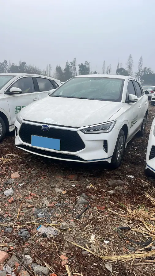 2019 BYD e2 BEV 35.2KWH