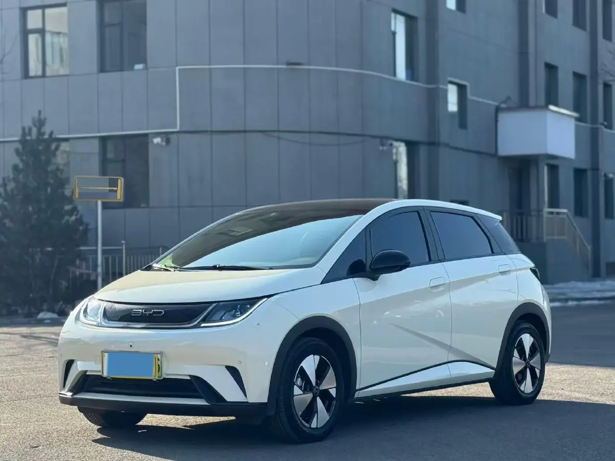 2023 BYD Dolphin BEV 44.928KWH