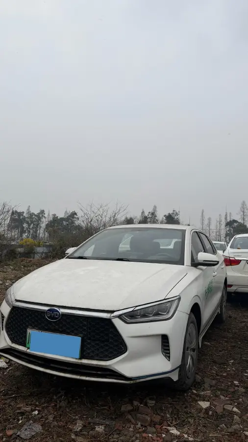 2019 BYD e2 BEV 35.2KWH