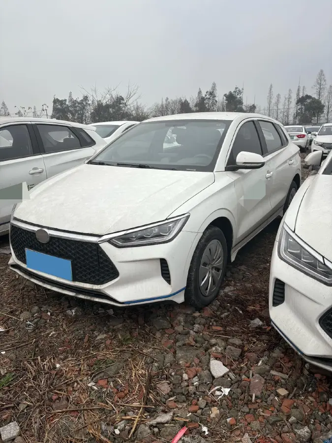 2019 BYD e2 BEV 35.2KWH