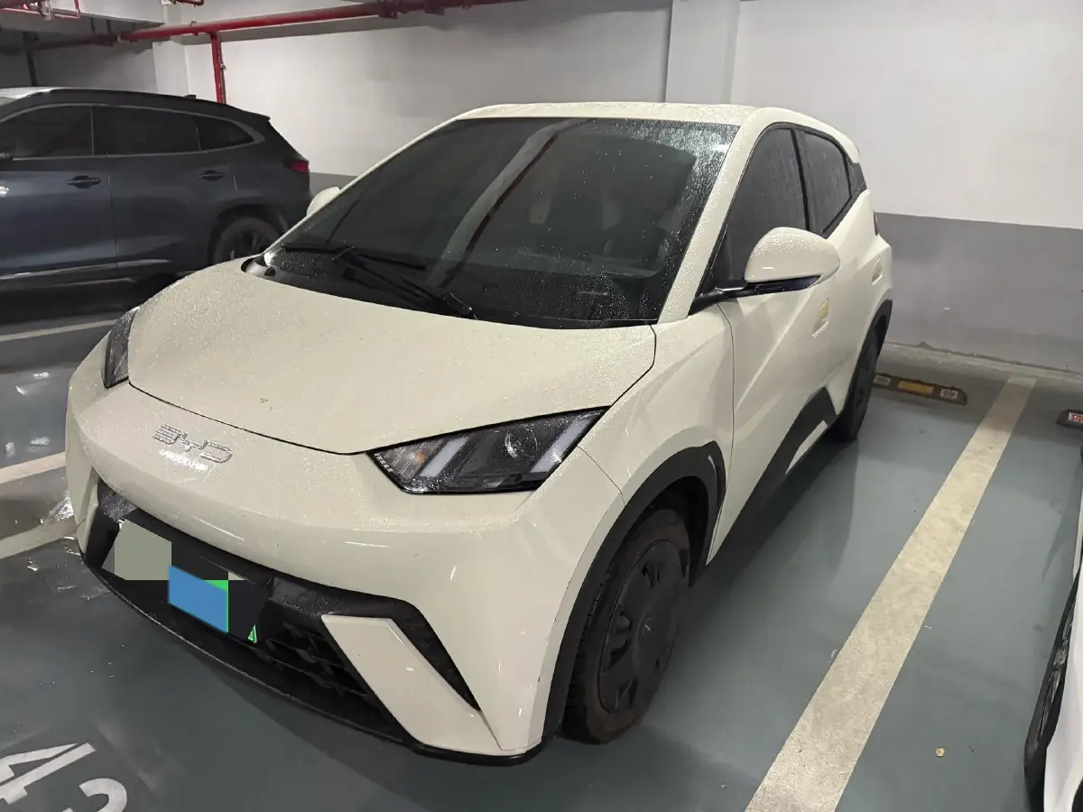 2023 BYD Seagull BEV 30.08KWH