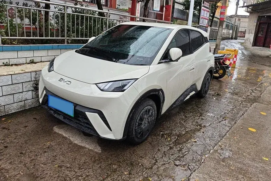 2024 BYD Seagull BEV 30.08KWH