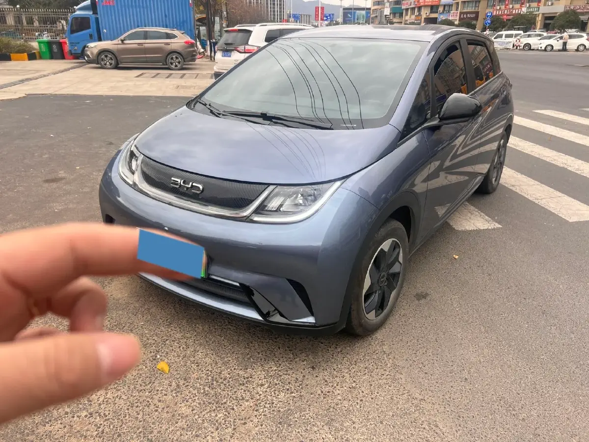 2024 BYD Dolphin BEV 44.928KWH