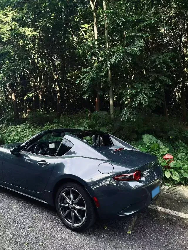 2022 Langsi G20 2.0T 224HP L4 8AT,autocango,china used car exporter,china ev exporter,chinese used car exporter,chinese used ev exporter