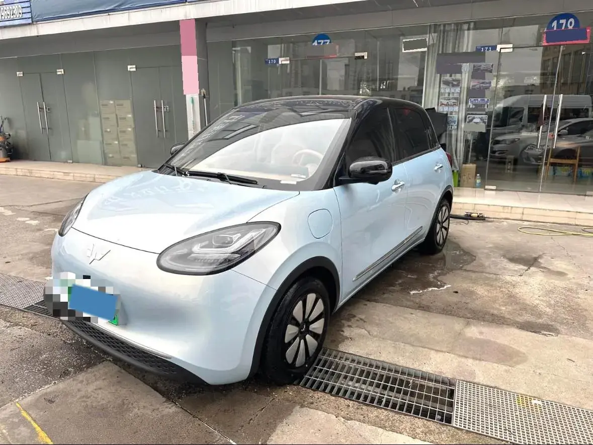 2025 WuLing BinGuo BEV
