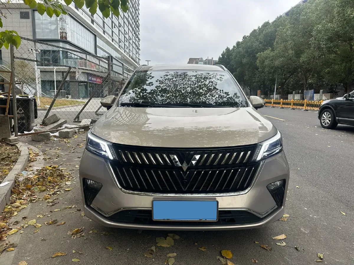 2022 Venucia T60 1.6L 126HP L4 CVT,autocango,china used car exporter,china ev exporter,chinese used car exporter,chinese used ev exporter