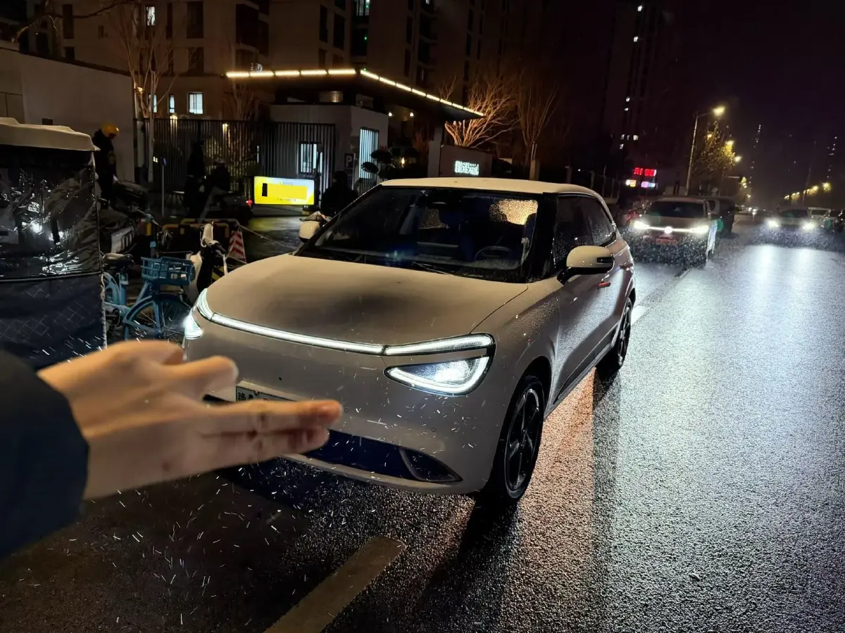 2024 DongFeng Nammi 01 BEV 42.3KWH