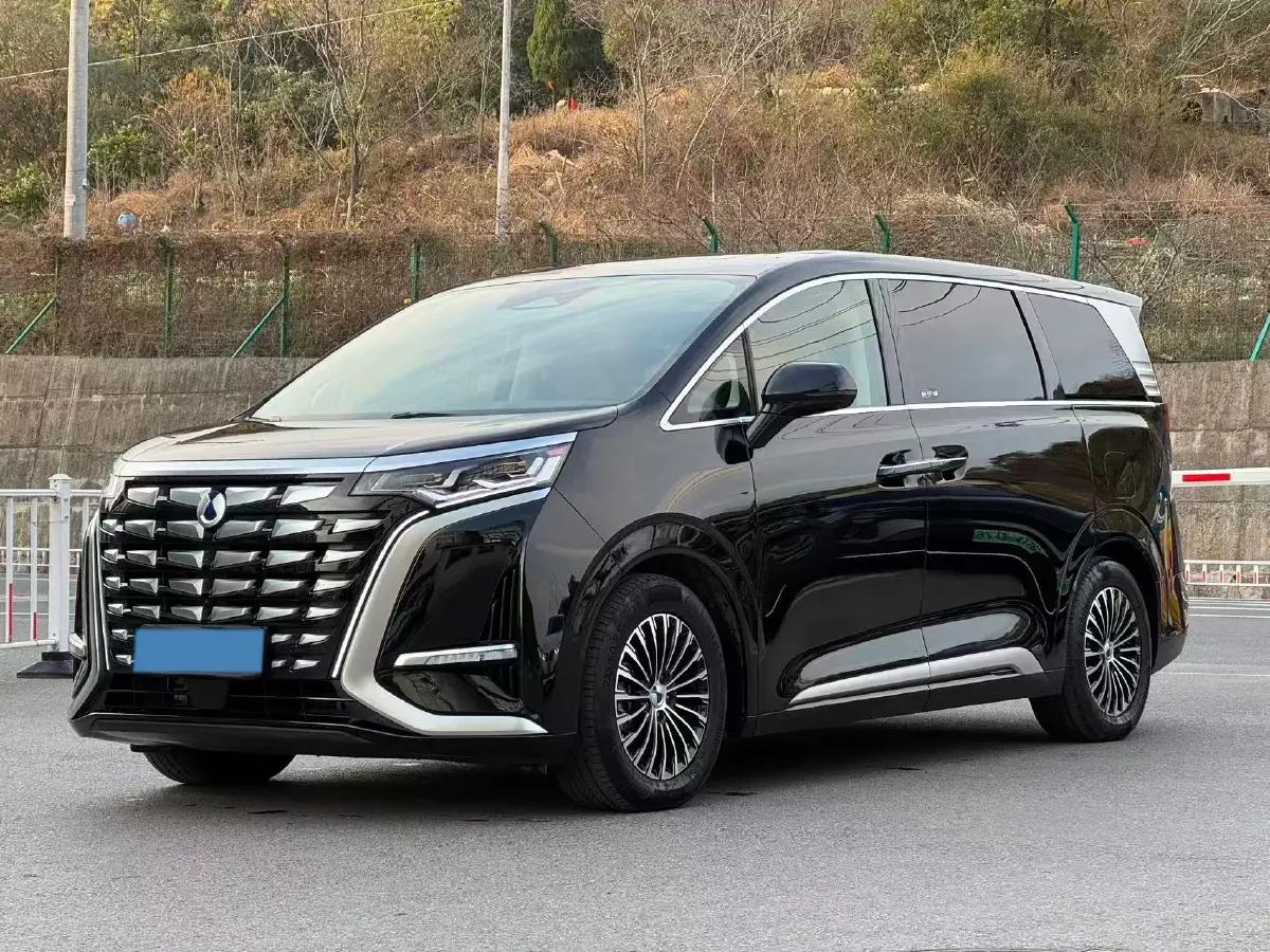 2024 Denza D9 1.5T 139HP L4 E-CVT PHEV 40KWH