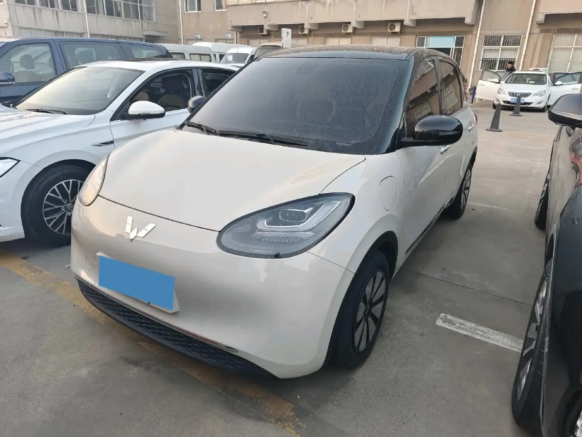 2023 WuLing BinGuo BEV 37.9KWH