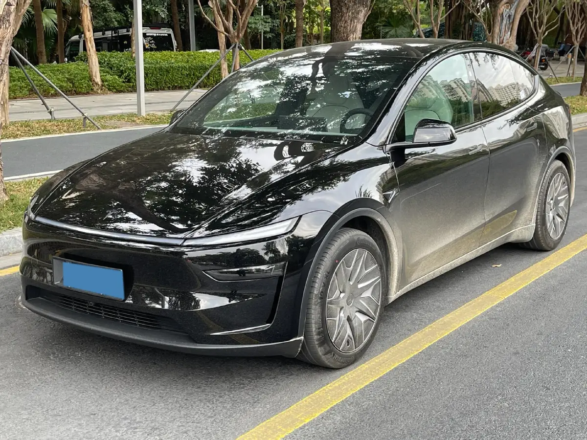 2025 Tesla Model Y L BEV