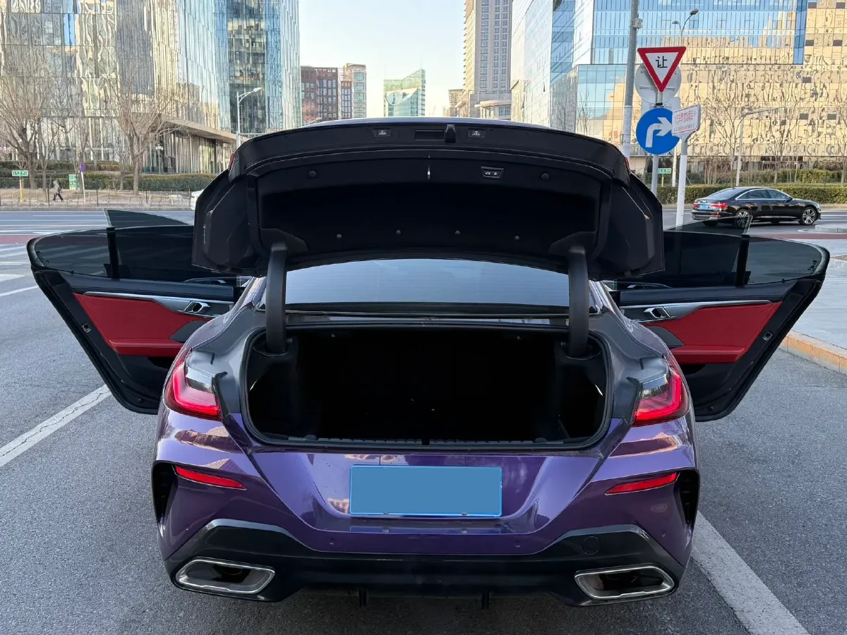 2021 BMW 8 Series 3.0T 340HP L6 8AT,autocango,china used car exporter,china ev exporter,chinese used car exporter,chinese used ev exporter