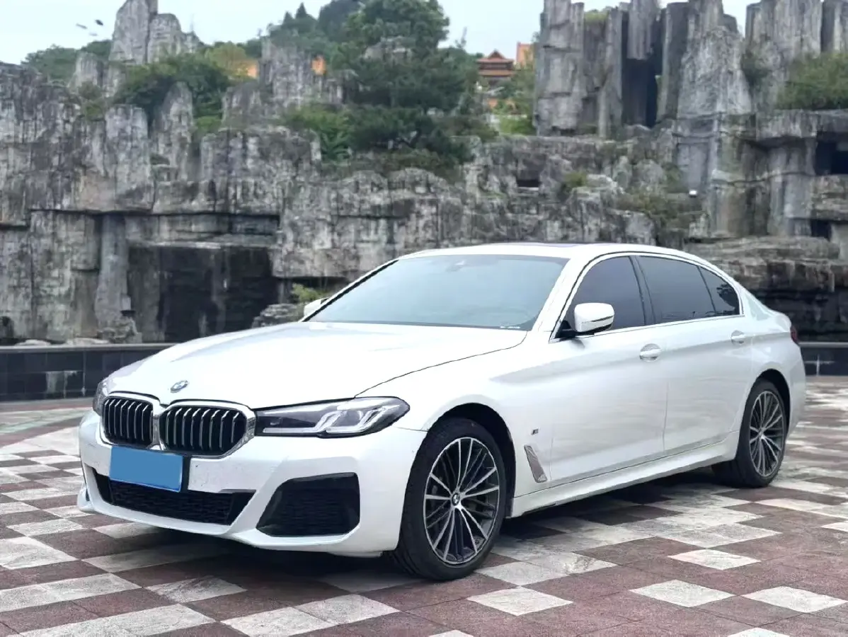 2022 BMW 5 Series 2.0T 252HP L4 8AT