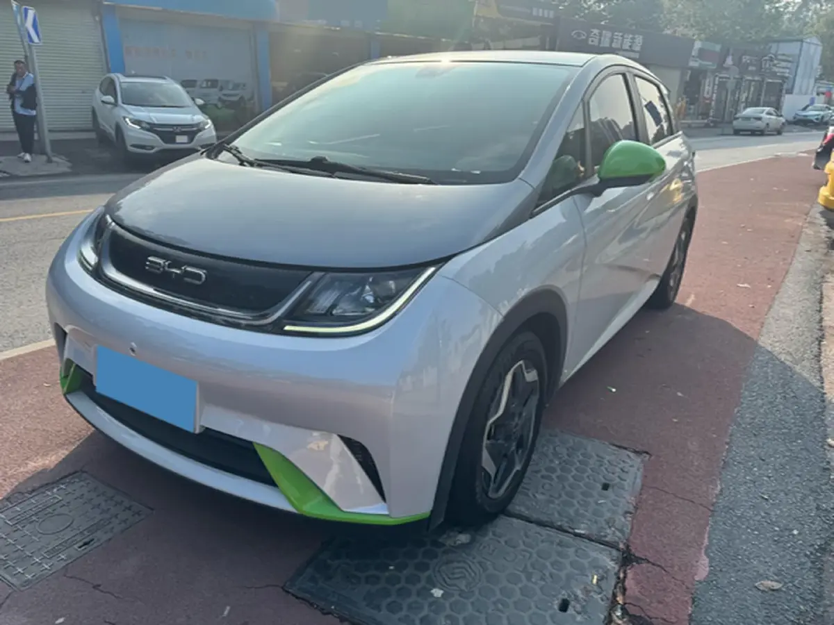 2021 BYD Yuan Pro BEV 50.1KWH