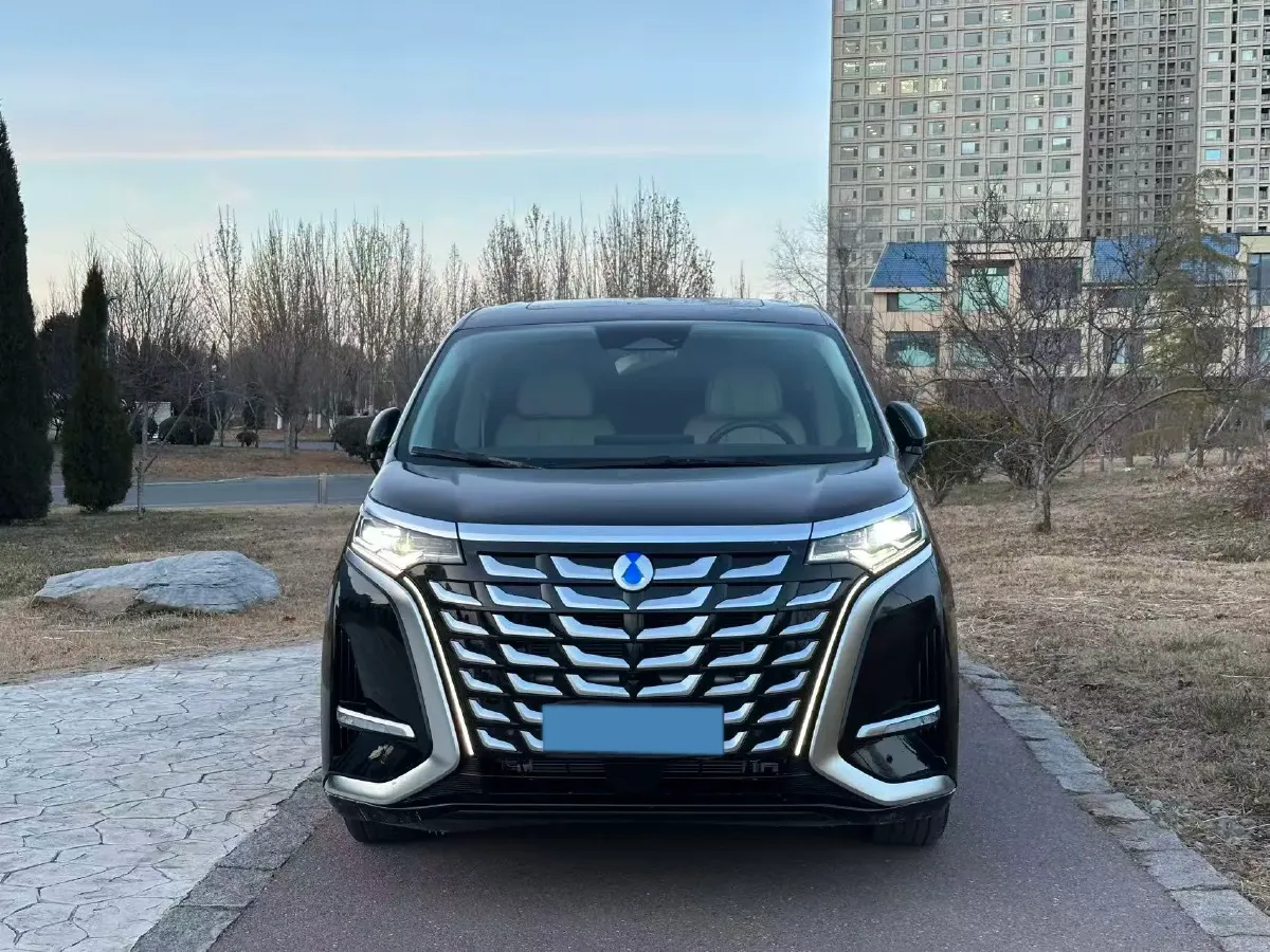 2024 Denza D9 1.5T 139HP L4 E-CVT PHEV 40KWH,autocango,china used car exporter,china ev exporter,chinese used car exporter,chinese used ev exporter