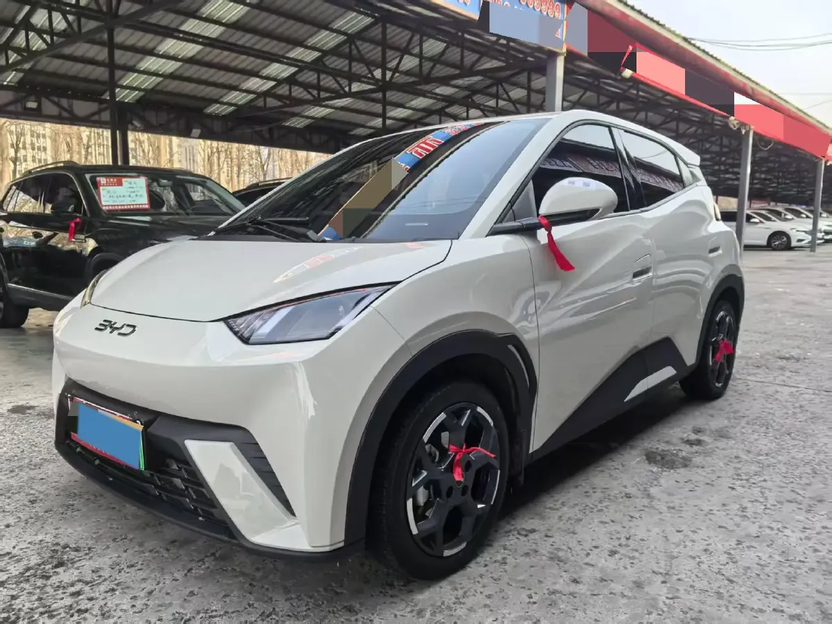2025 BYD Seagull BEV 30.08KWH