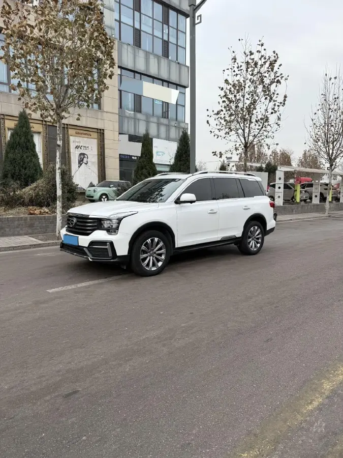 2020 GAC Trumpchi GS8 2.0T 252HP L4 6AT