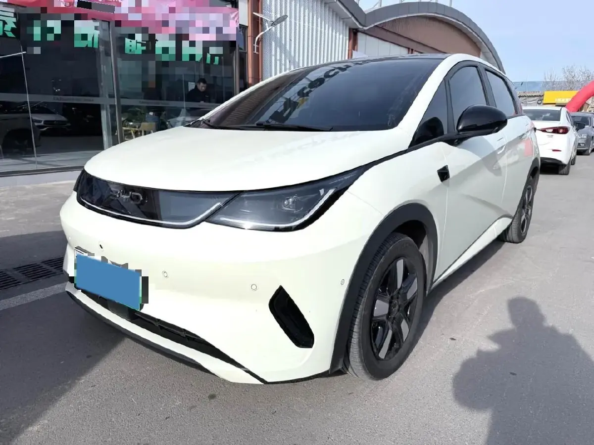 2025 BYD Dolphin BEV 45.12KWH