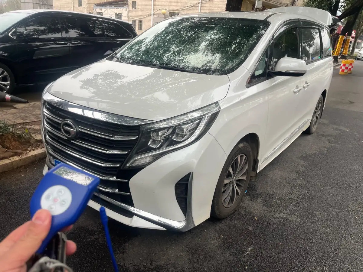2023 GAC Trumpchi M8 2.0T 252HP L4 8AT