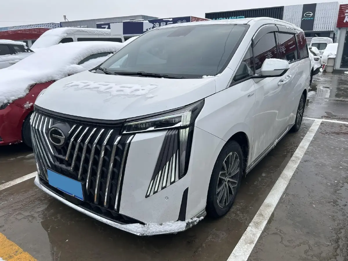 2024 GAC Trumpchi M8 2.0T 252HP L4 8AT