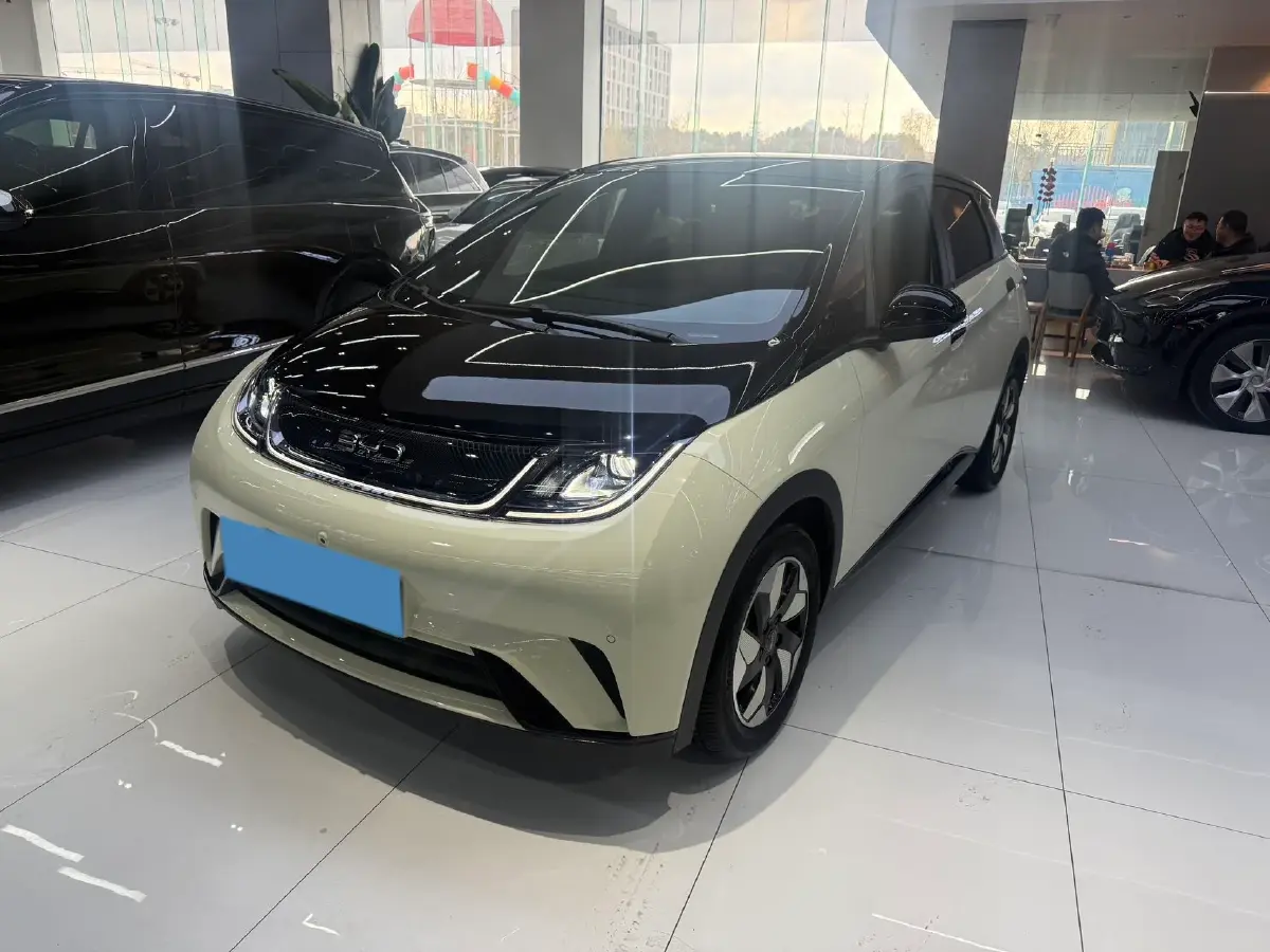 2025 BYD Dolphin BEV 44.928KWH