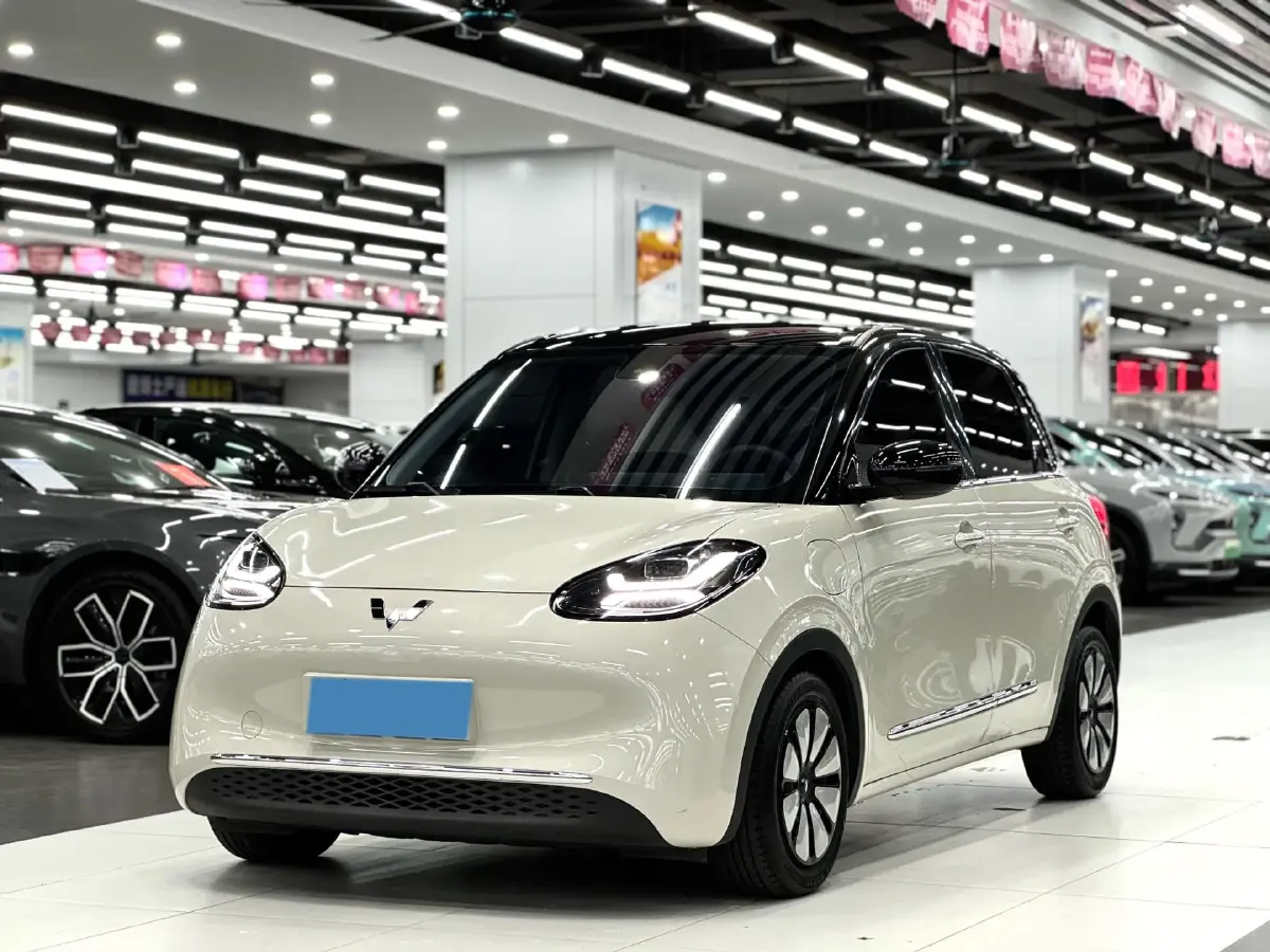 2023 WuLing BinGuo BEV 31.9KWH