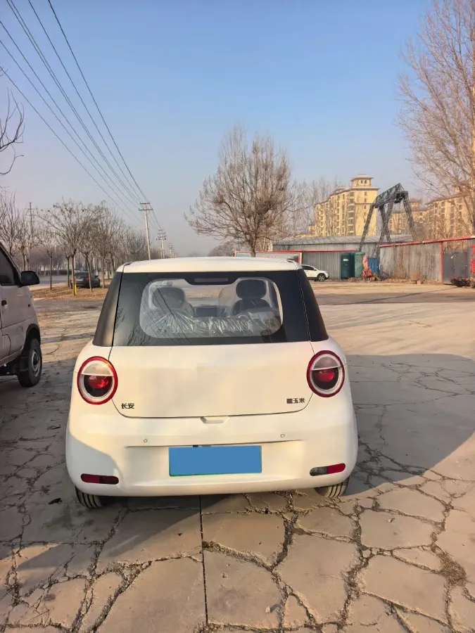2024 ChangAn QiYuan Lumin BEV 13.41KWH,autocango,china used car exporter,china ev exporter,chinese used car exporter,chinese used ev exporter