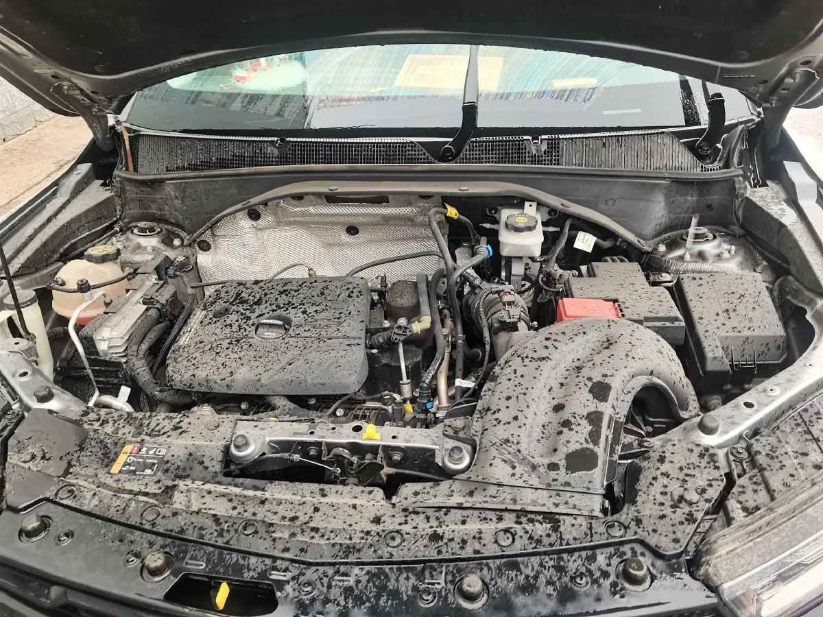 2019 Chevrolet Trailblazer 1.3T 165HP L3 9AT,autocango,china used car exporter,china ev exporter,chinese used car exporter,chinese used ev exporter