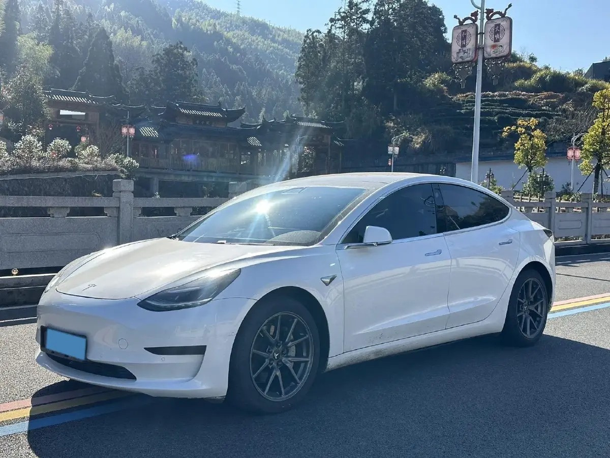 2020 Tesla Model 3 BEV 55KWH