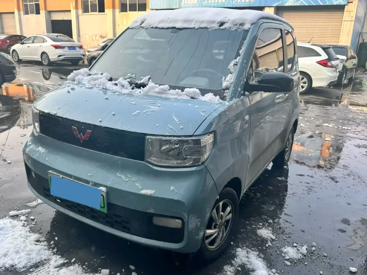 2020 WuLing HongGuang MINI EV BEV 9.3KWH
