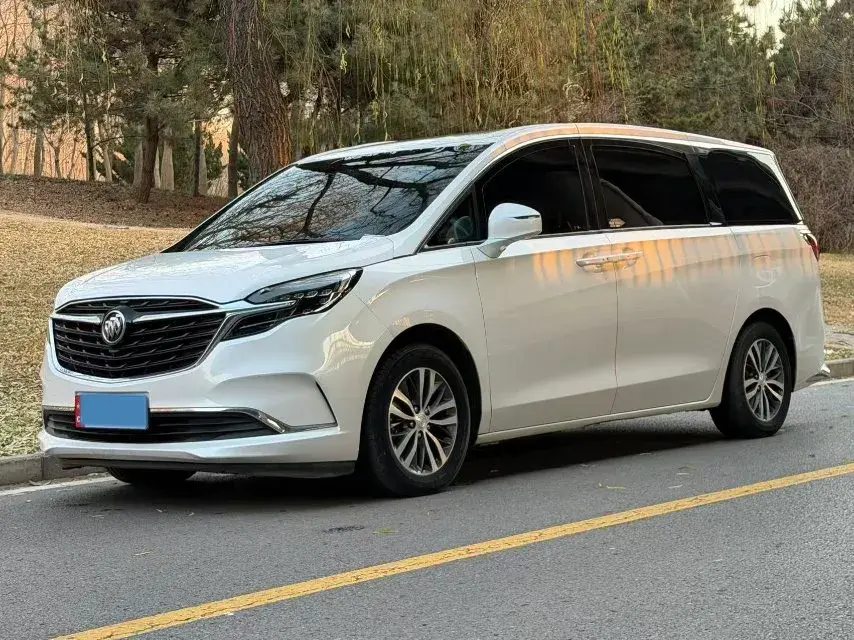 2020 Buick GL8 2.0T 237HP L4 9AT