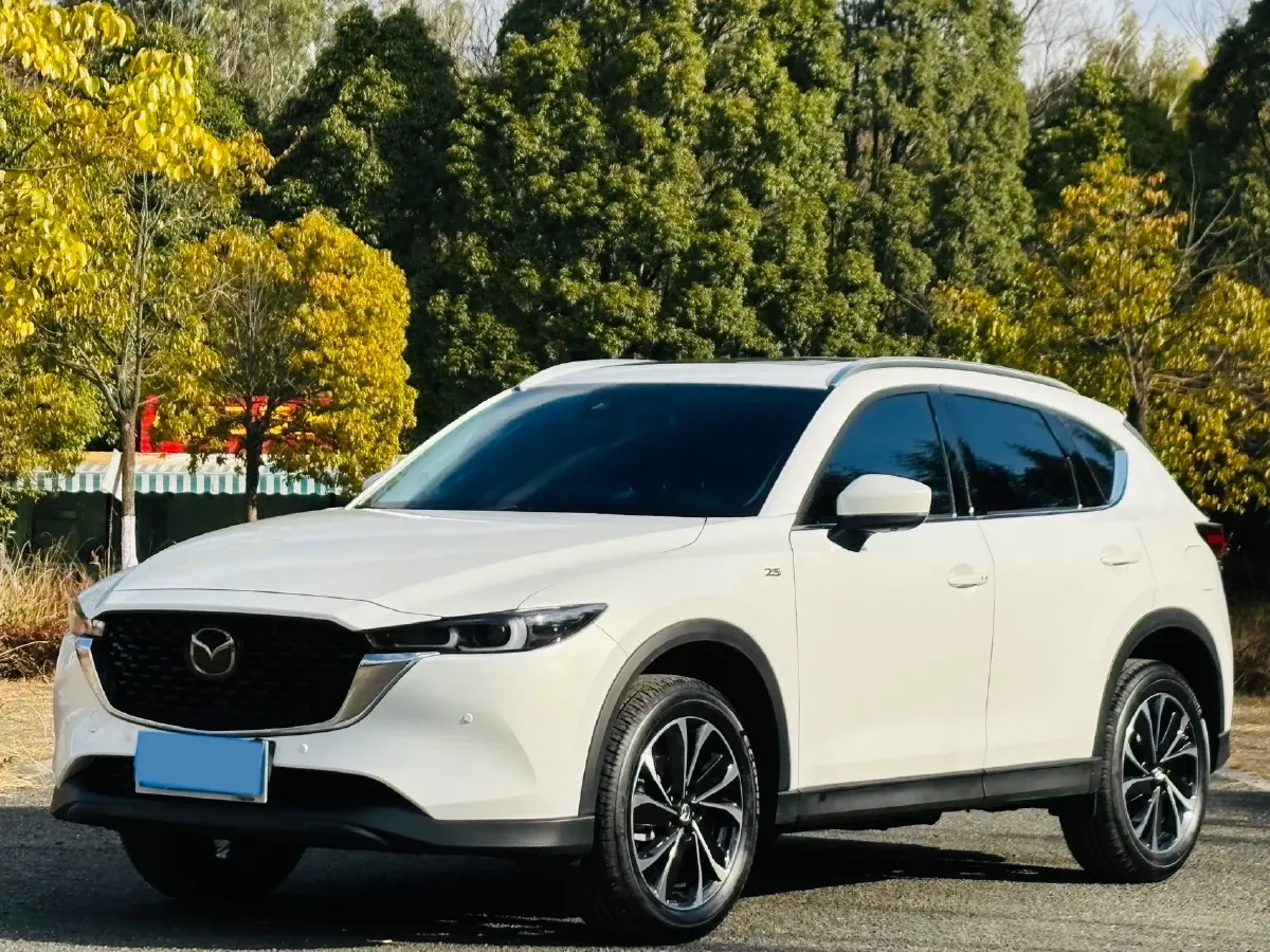 2022 DaYun M1 BEV 90.58KWH,autocango,china used car exporter,china ev exporter,chinese used car exporter,chinese used ev exporter