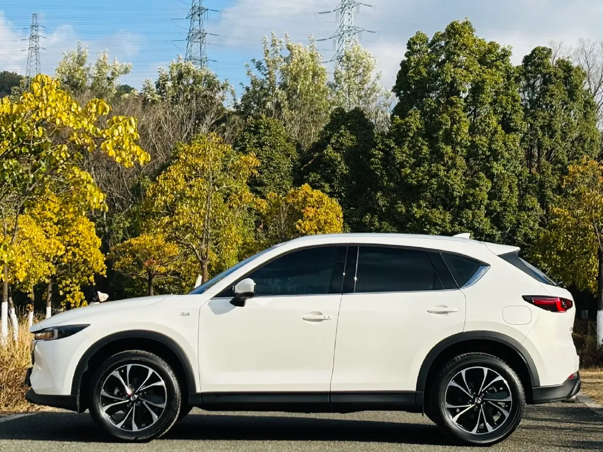 2022 DaYun M1 BEV 90.58KWH,autocango,china used car exporter,china ev exporter,chinese used car exporter,chinese used ev exporter