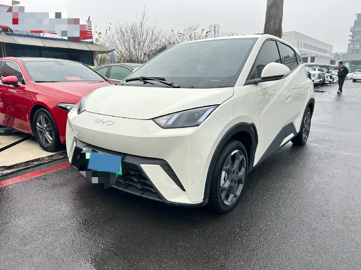 2024 BYD Seagull BEV 30.08KWH