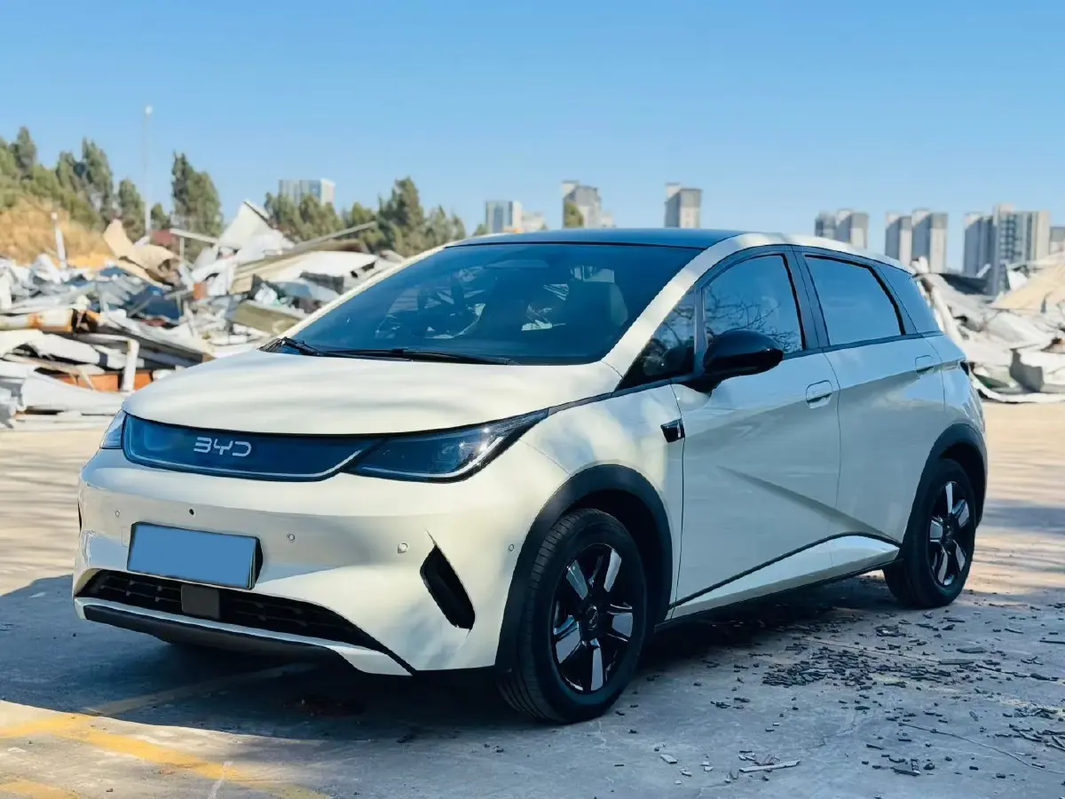 2025 BYD Dolphin BEV 45.12KWH