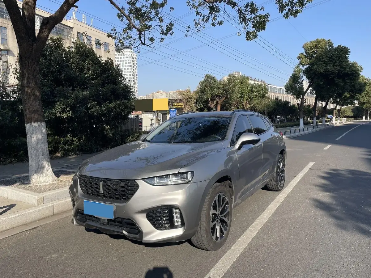 2019 WEY VV7 2.0T 227HP L4 7DCT