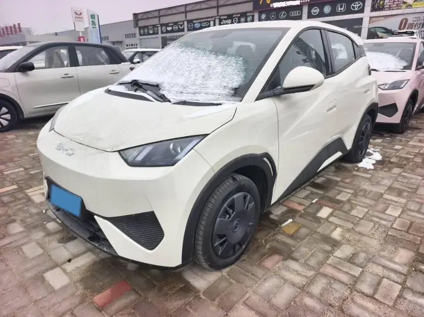 2025 BYD Seagull BEV 30.08KWH