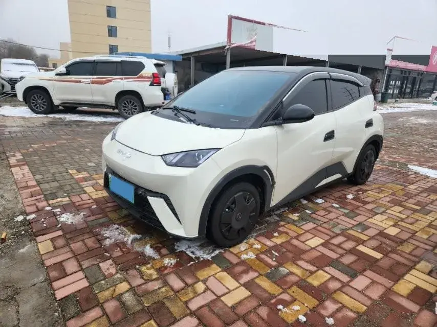 2024 BYD Seagull BEV 30.08KWH