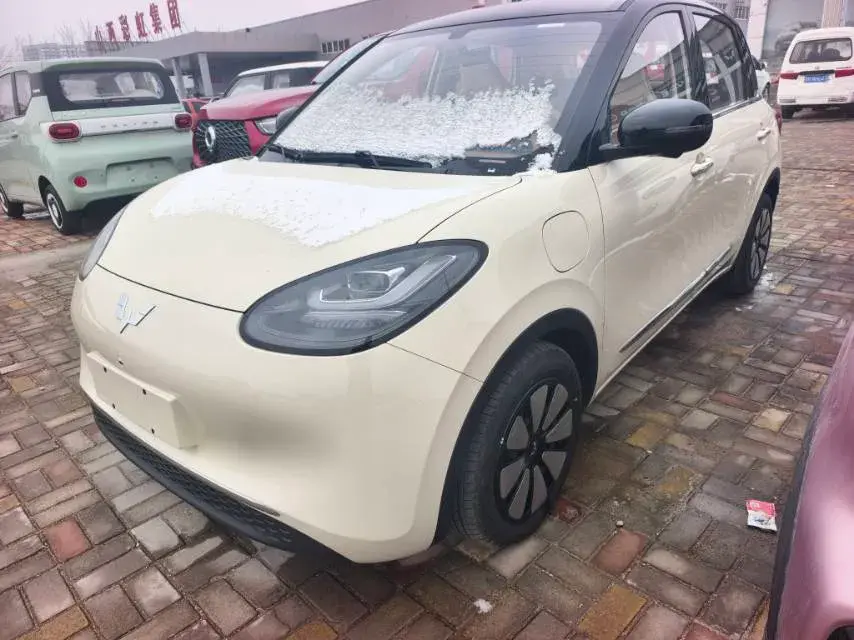 2025 WuLing BinGuo BEV