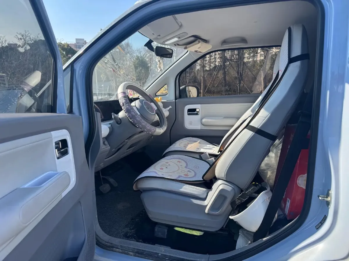 2023 Linxys Golden Warehouse BEV 38.016KWH,autocango,china used car exporter,china ev exporter,chinese used car exporter,chinese used ev exporter