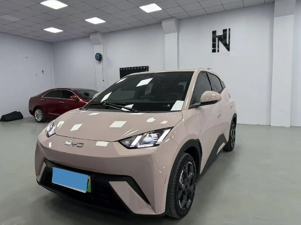 2025 BYD Seagull BEV 30.08KWH