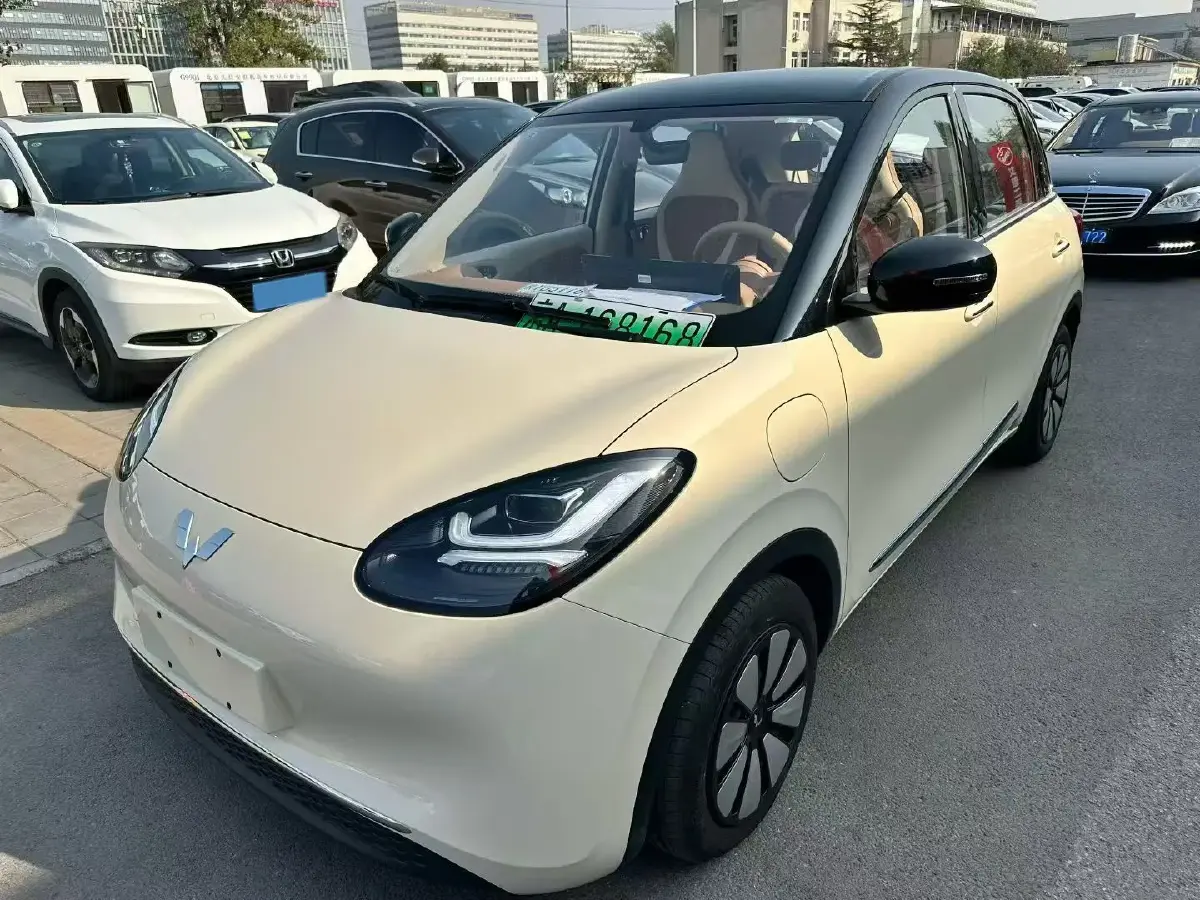 2024 WuLing BinGuo BEV 31.9KWH