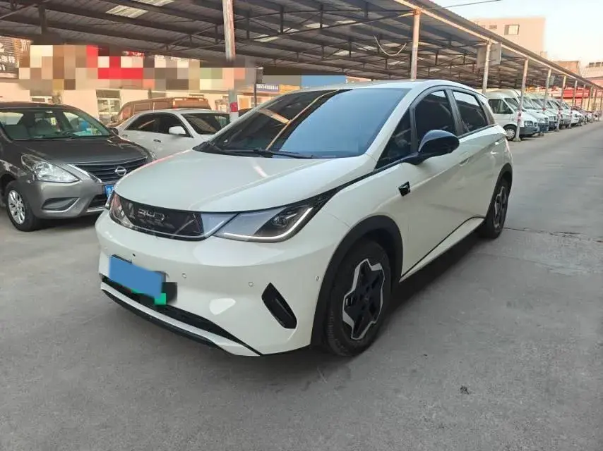 2025 BYD Dolphin BEV 45.12KWH