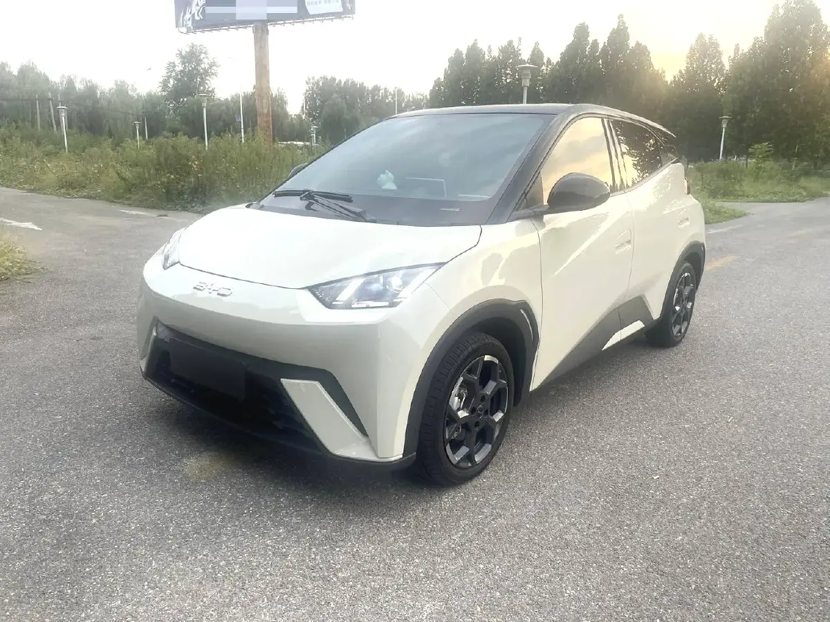 2025 BYD Seagull BEV 30.08KWH