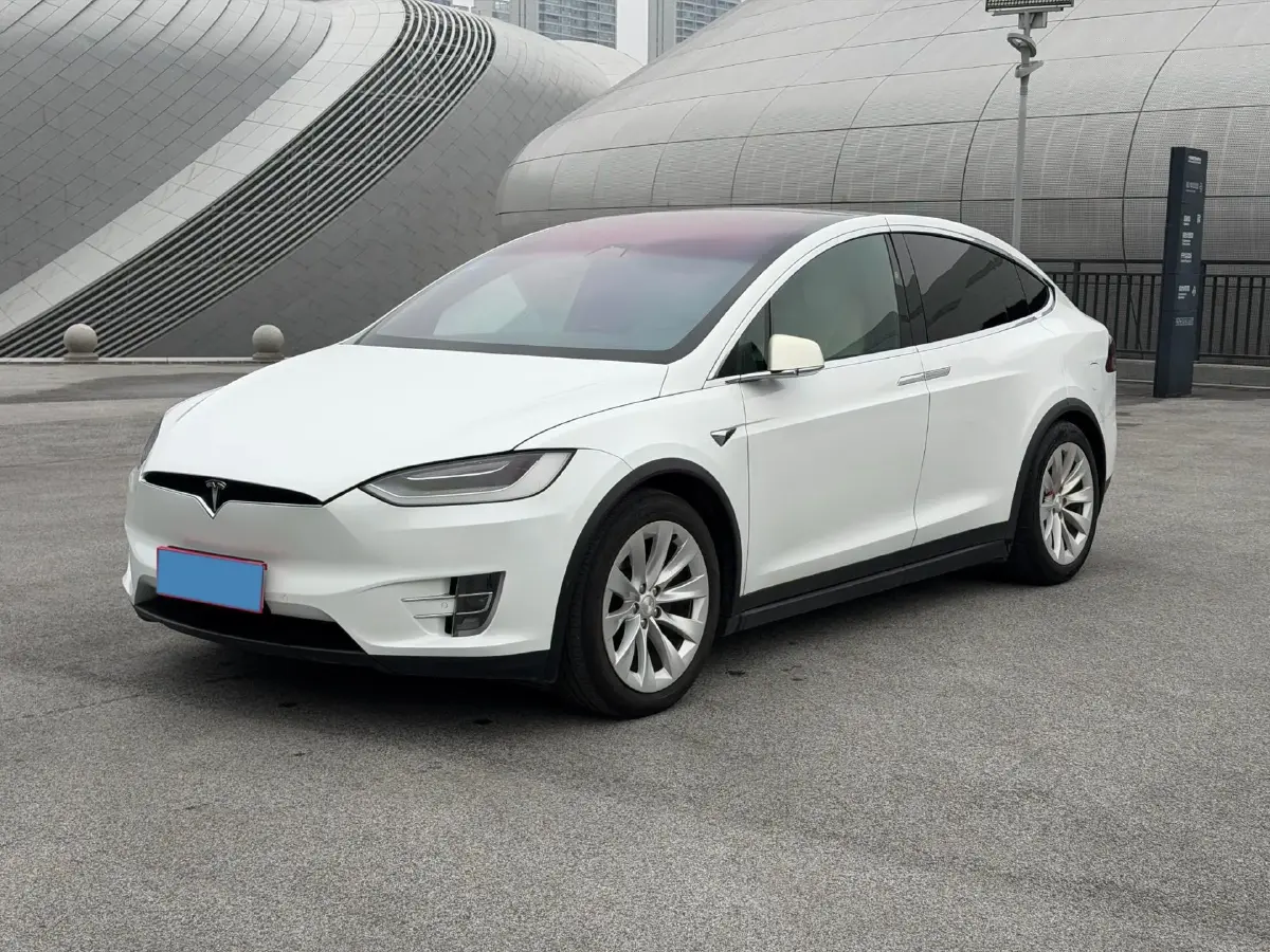 2019 Tesla Model X BEV 100KWH