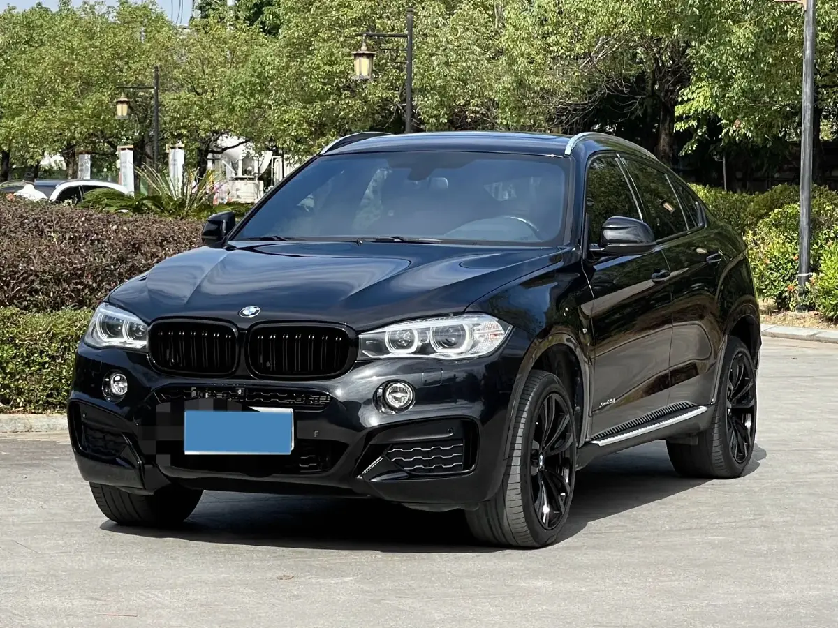 2019 BMW X6 3.0T 306HP L6 8AT