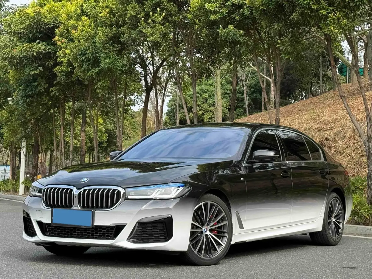 2020 BMW 5 Series 2.0T 252HP L4 8AT