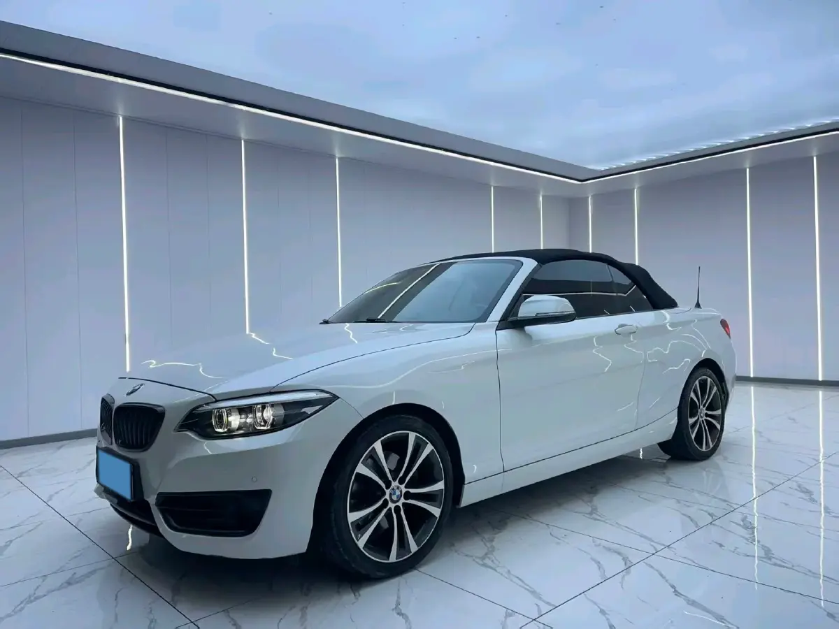2019 BMW 2 Series 2.0T 184HP L4 8AT