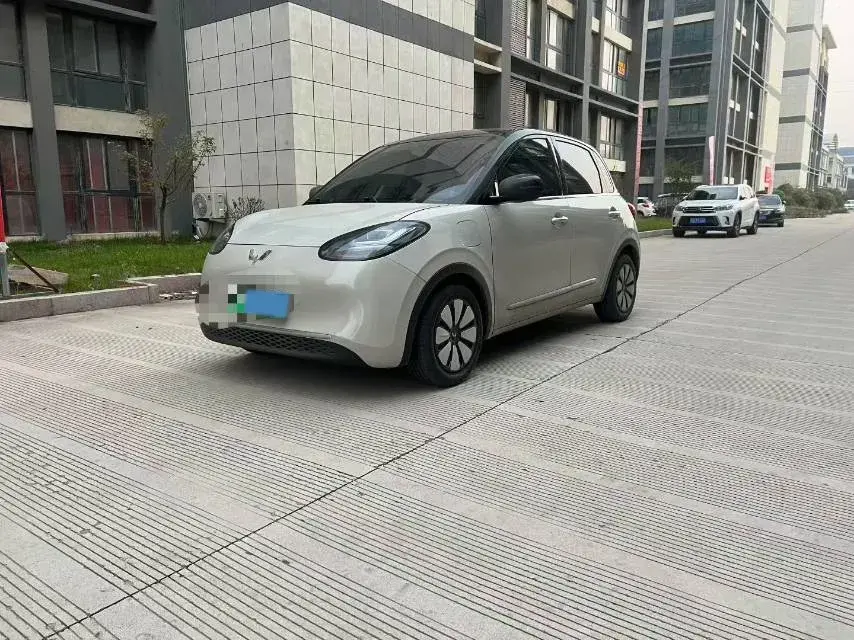 2024 WuLing BinGuo BEV 31.9KWH
